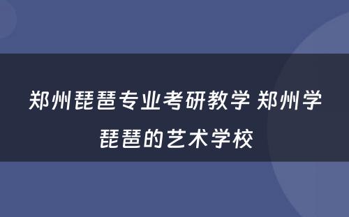 郑州琵琶专业考研教学 郑州学琵琶的艺术学校