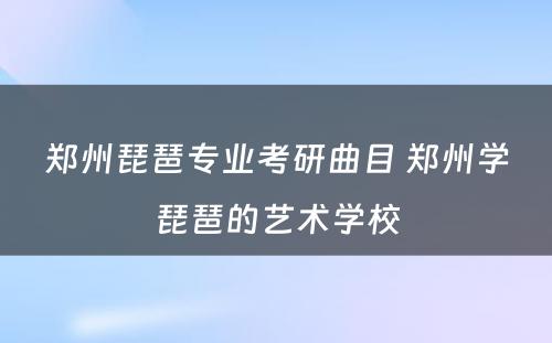 郑州琵琶专业考研曲目 郑州学琵琶的艺术学校