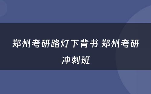 郑州考研路灯下背书 郑州考研冲刺班