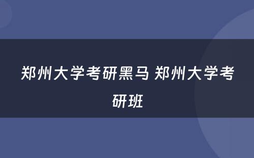 郑州大学考研黑马 郑州大学考研班