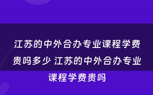 江苏的中外合办专业课程学费贵吗多少 江苏的中外合办专业课程学费贵吗