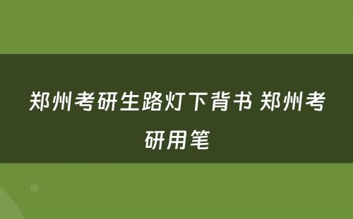 郑州考研生路灯下背书 郑州考研用笔