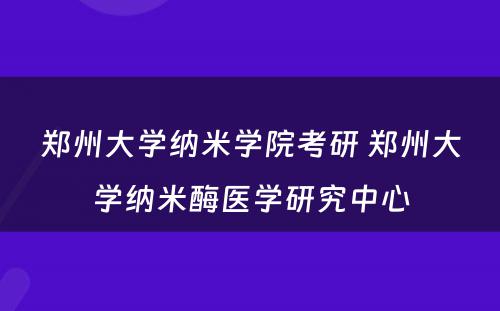 郑州大学纳米学院考研 郑州大学纳米酶医学研究中心