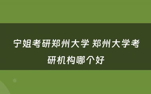 宁姐考研郑州大学 郑州大学考研机构哪个好