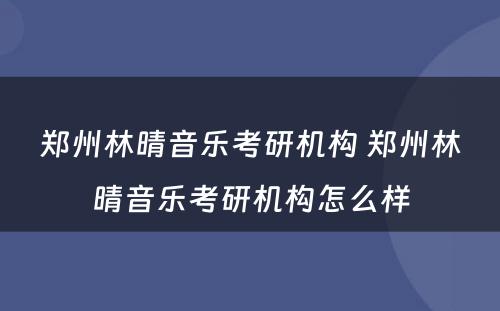 郑州林晴音乐考研机构 郑州林晴音乐考研机构怎么样