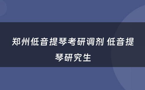 郑州低音提琴考研调剂 低音提琴研究生