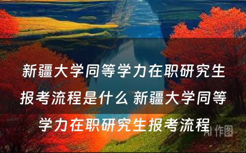 新疆大学同等学力在职研究生报考流程是什么 新疆大学同等学力在职研究生报考流程