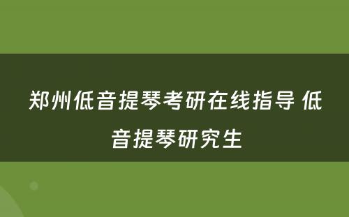 郑州低音提琴考研在线指导 低音提琴研究生