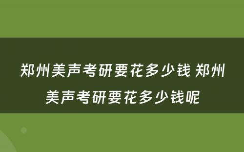 郑州美声考研要花多少钱 郑州美声考研要花多少钱呢