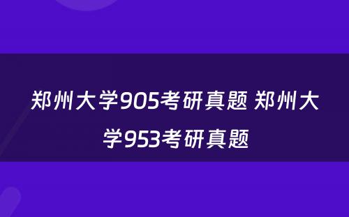 郑州大学905考研真题 郑州大学953考研真题