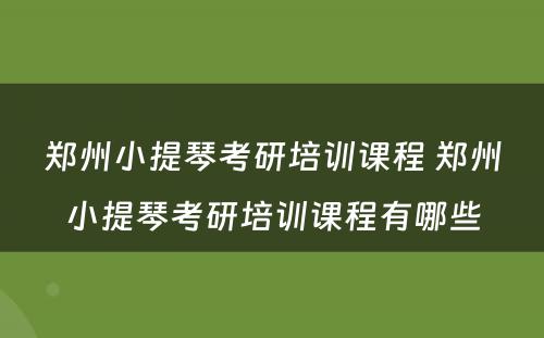 郑州小提琴考研培训课程 郑州小提琴考研培训课程有哪些