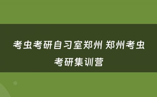 考虫考研自习室郑州 郑州考虫考研集训营