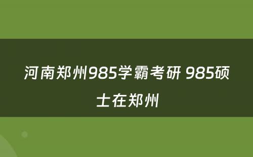 河南郑州985学霸考研 985硕士在郑州