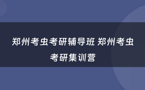 郑州考虫考研辅导班 郑州考虫考研集训营