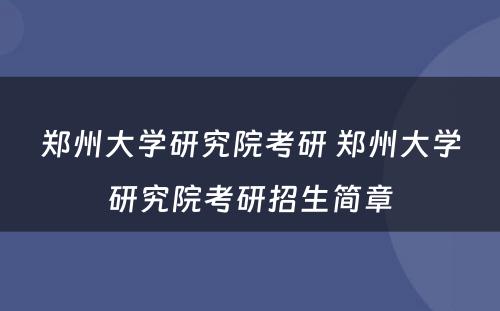 郑州大学研究院考研 郑州大学研究院考研招生简章