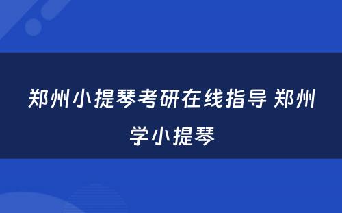 郑州小提琴考研在线指导 郑州学小提琴