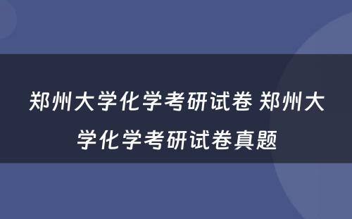 郑州大学化学考研试卷 郑州大学化学考研试卷真题