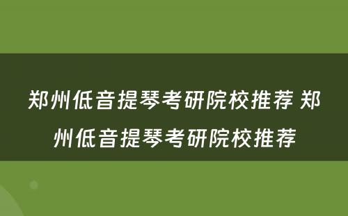 郑州低音提琴考研院校推荐 郑州低音提琴考研院校推荐