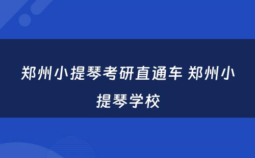 郑州小提琴考研直通车 郑州小提琴学校