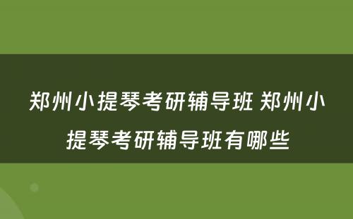 郑州小提琴考研辅导班 郑州小提琴考研辅导班有哪些