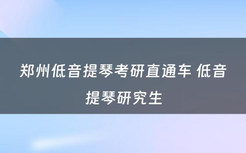 郑州低音提琴考研直通车 低音提琴研究生