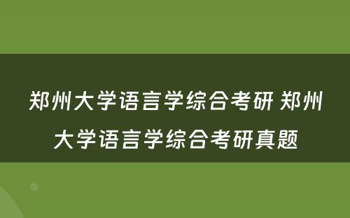 郑州大学语言学综合考研 郑州大学语言学综合考研真题