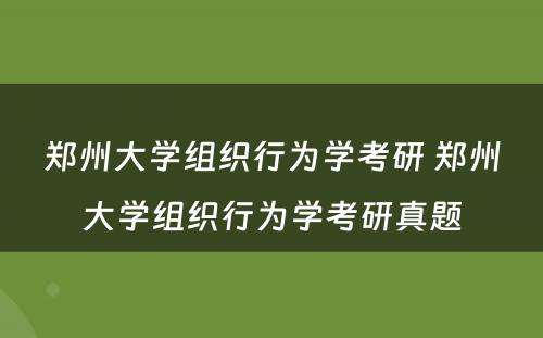 郑州大学组织行为学考研 郑州大学组织行为学考研真题