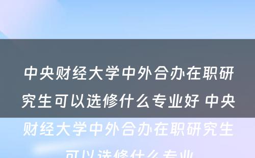 中央财经大学中外合办在职研究生可以选修什么专业好 中央财经大学中外合办在职研究生可以选修什么专业