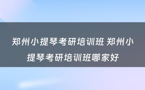 郑州小提琴考研培训班 郑州小提琴考研培训班哪家好