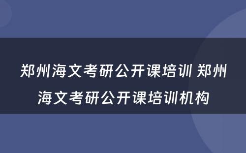 郑州海文考研公开课培训 郑州海文考研公开课培训机构