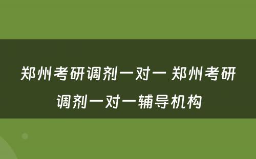 郑州考研调剂一对一 郑州考研调剂一对一辅导机构