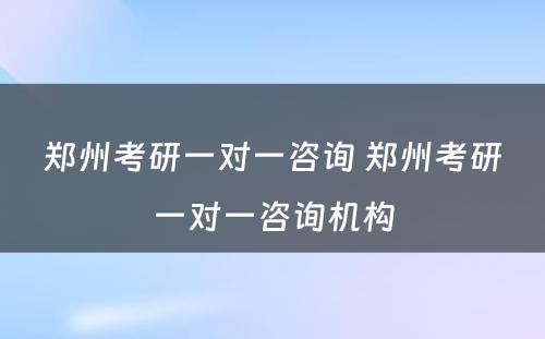 郑州考研一对一咨询 郑州考研一对一咨询机构