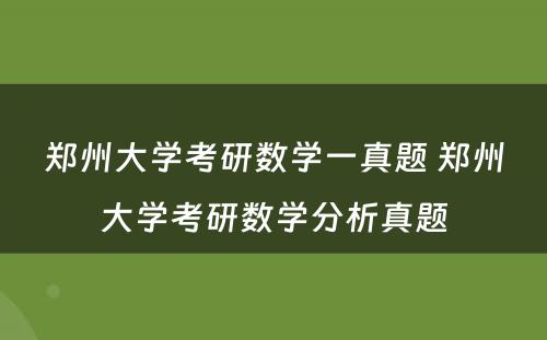 郑州大学考研数学一真题 郑州大学考研数学分析真题