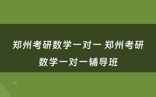 郑州考研数学一对一 郑州考研数学一对一辅导班