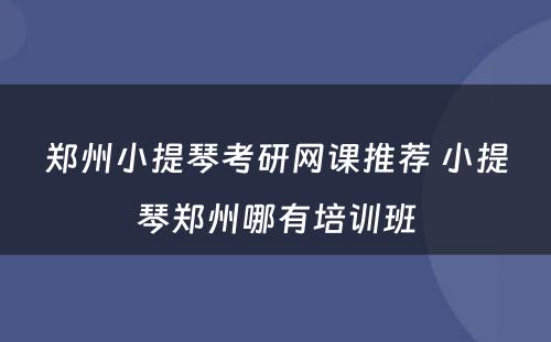 郑州小提琴考研网课推荐 小提琴郑州哪有培训班