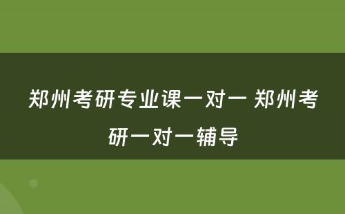 郑州考研专业课一对一 郑州考研一对一辅导