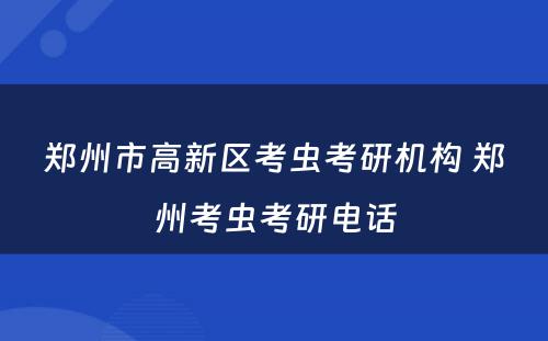 郑州市高新区考虫考研机构 郑州考虫考研电话