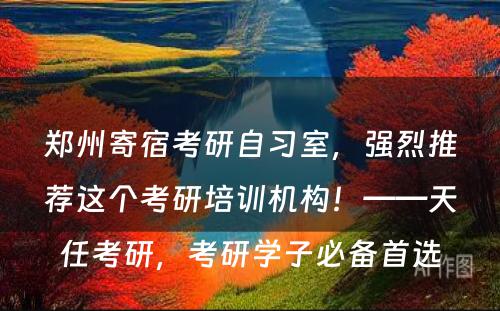 郑州寄宿考研自习室，强烈推荐这个考研培训机构！——天任考研，考研学子必备首选