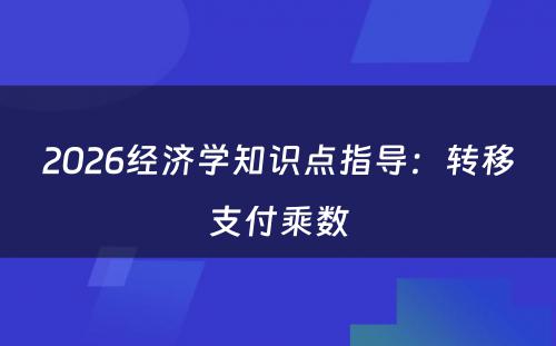 2026经济学知识点指导：转移支付乘数