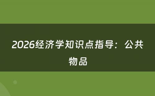 2026经济学知识点指导：公共物品