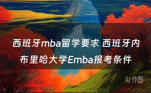 西班牙mba留学要求 西班牙内布里哈大学Emba报考条件