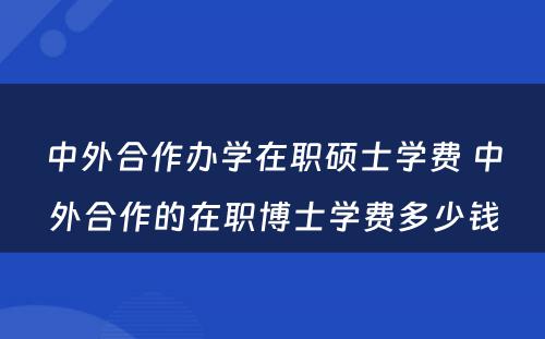 中外合作办学在职硕士学费 中外合作的在职博士学费多少钱