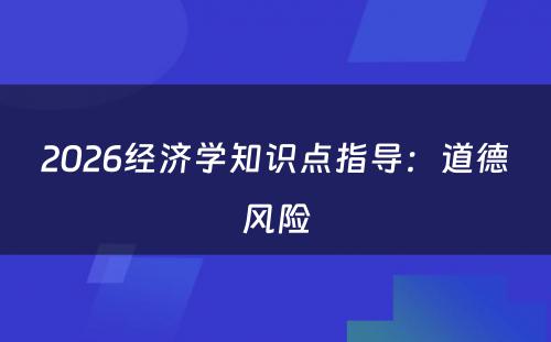 2026经济学知识点指导：道德风险