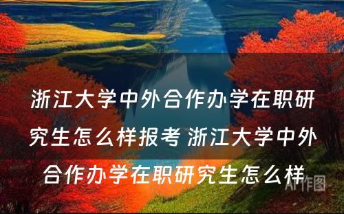 浙江大学中外合作办学在职研究生怎么样报考 浙江大学中外合作办学在职研究生怎么样