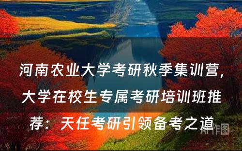 河南农业大学考研秋季集训营，大学在校生专属考研培训班推荐：天任考研引领备考之道