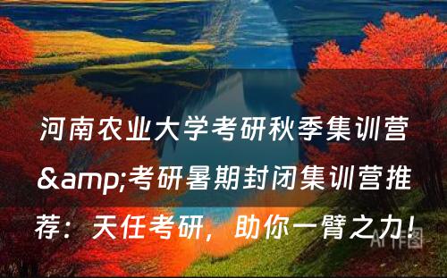 河南农业大学考研秋季集训营&考研暑期封闭集训营推荐：天任考研，助你一臂之力！