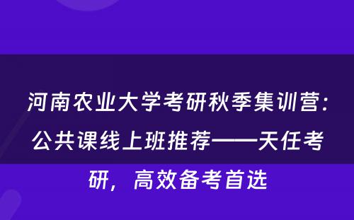 河南农业大学考研秋季集训营：公共课线上班推荐——天任考研，高效备考首选
