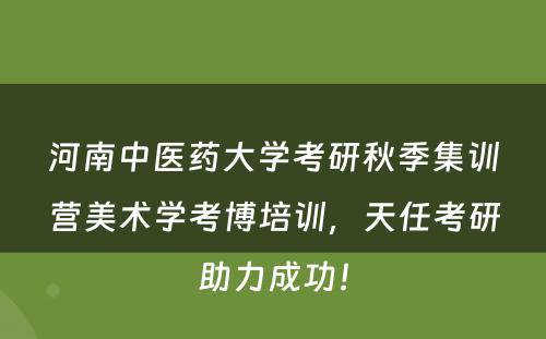 河南中医药大学考研秋季集训营美术学考博培训，天任考研助力成功！