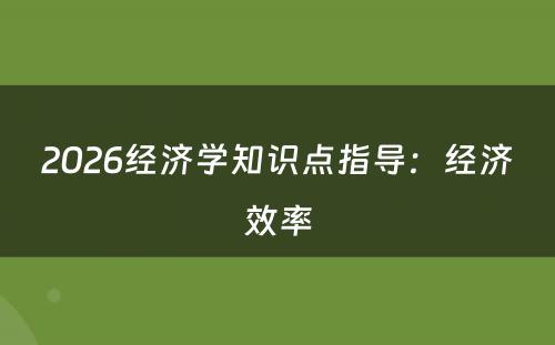 2026经济学知识点指导：经济效率