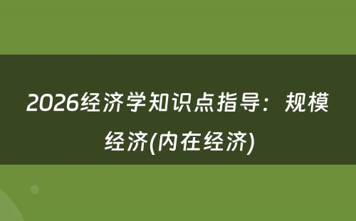 2026经济学知识点指导：规模经济(内在经济)